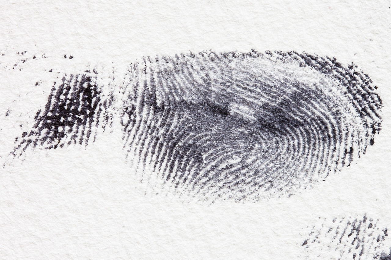 fingerprint, dactylogram, papillary ridges, fingertip, contact, crime, criminal law, detective, finger, security, ink, black, uniqueness, fingerprint, fingerprint, fingerprint, fingerprint, fingerprint, crime, detective, detective, detective